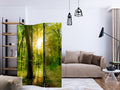 Forest Sun Rays Landscape 3-Panel Room Divider