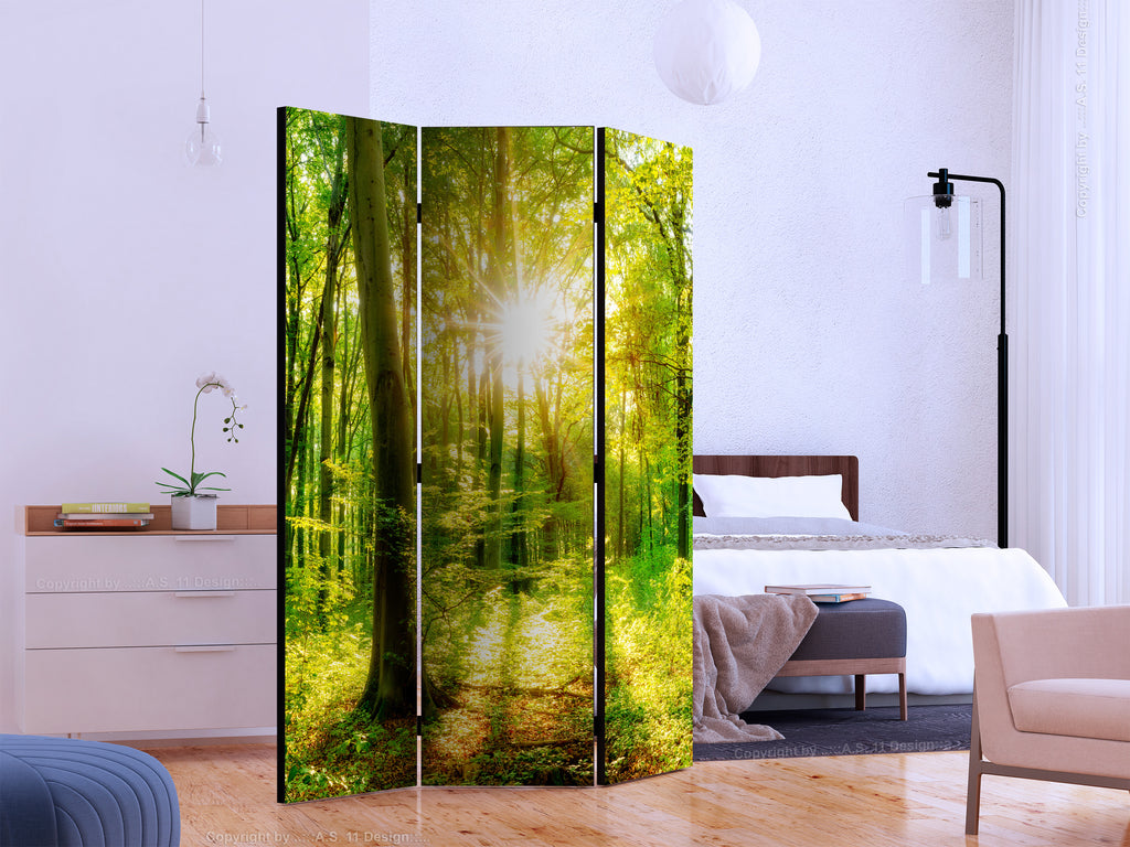 Forest Sun Rays Landscape 3-Panel Room Divider