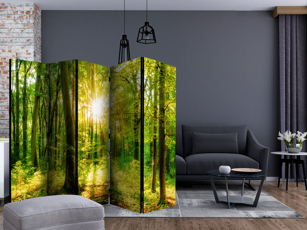 Forest Sun Rays 5-Panel Room Divider