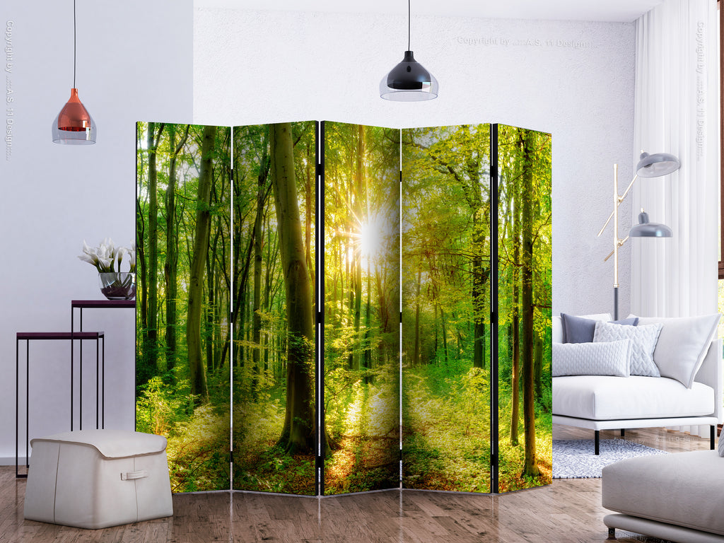 Forest Sun Rays 5-Panel Room Divider