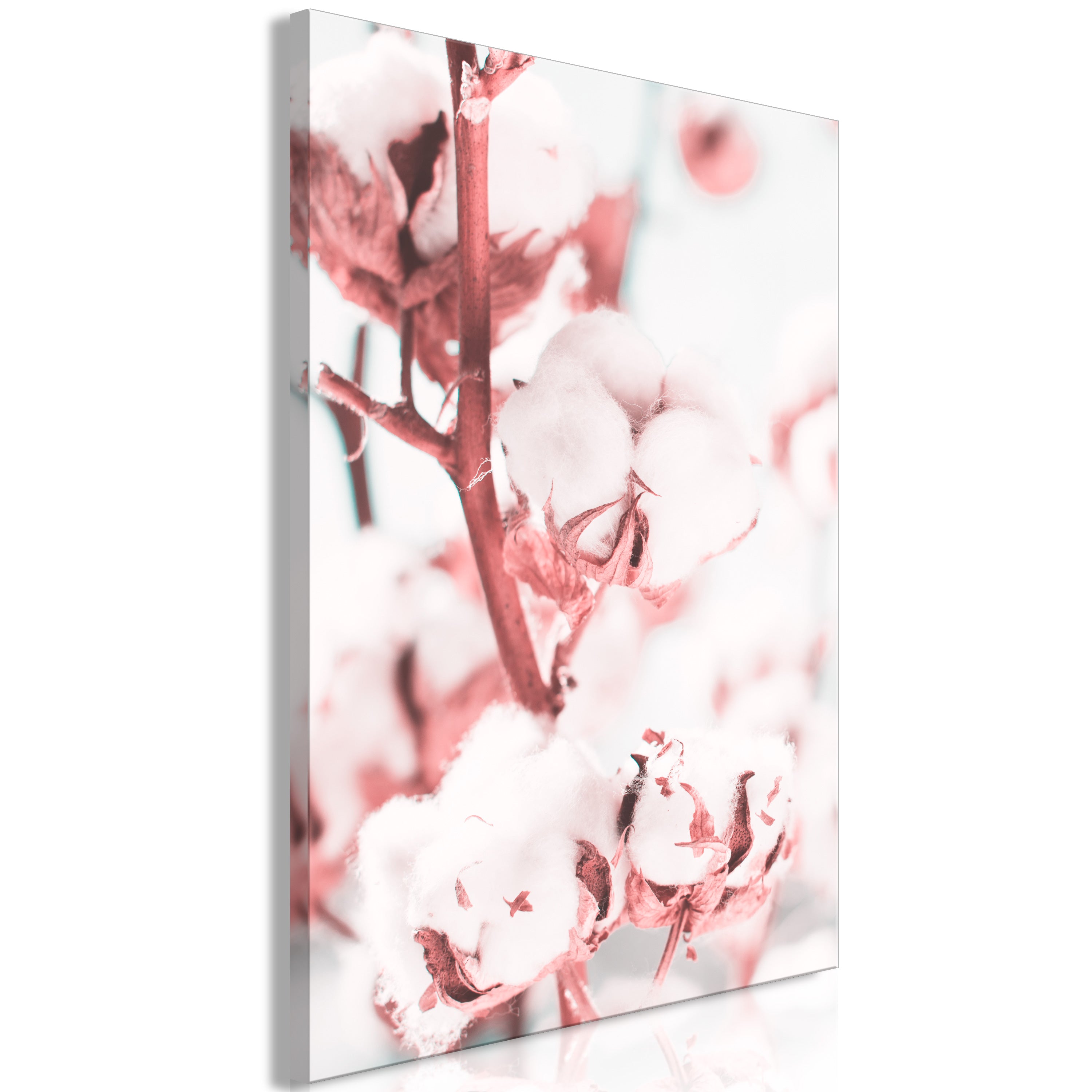 Canvas Print Blooming Cotton 1 Part Vertical