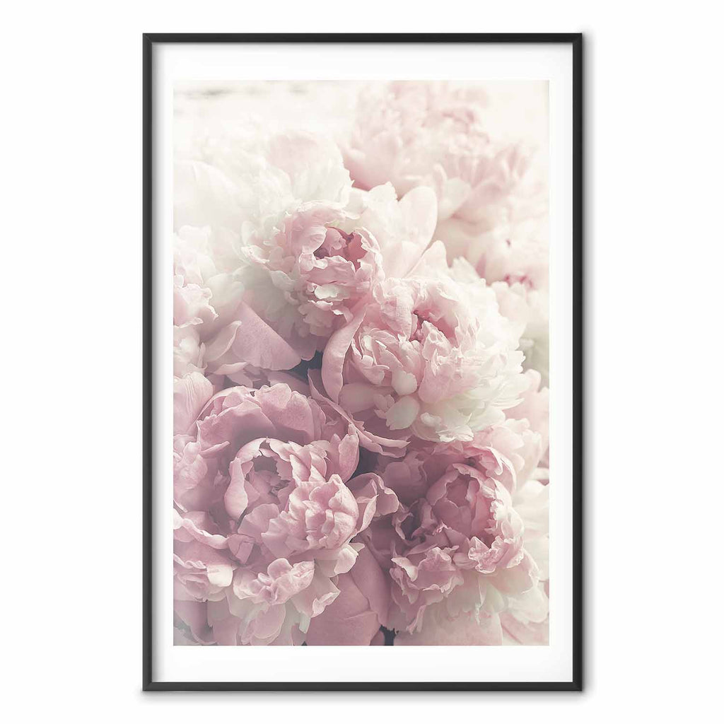 Delicate Peonies Floral Poster