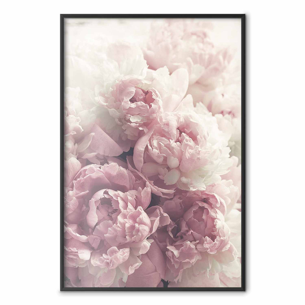 Delicate Peonies Floral Poster