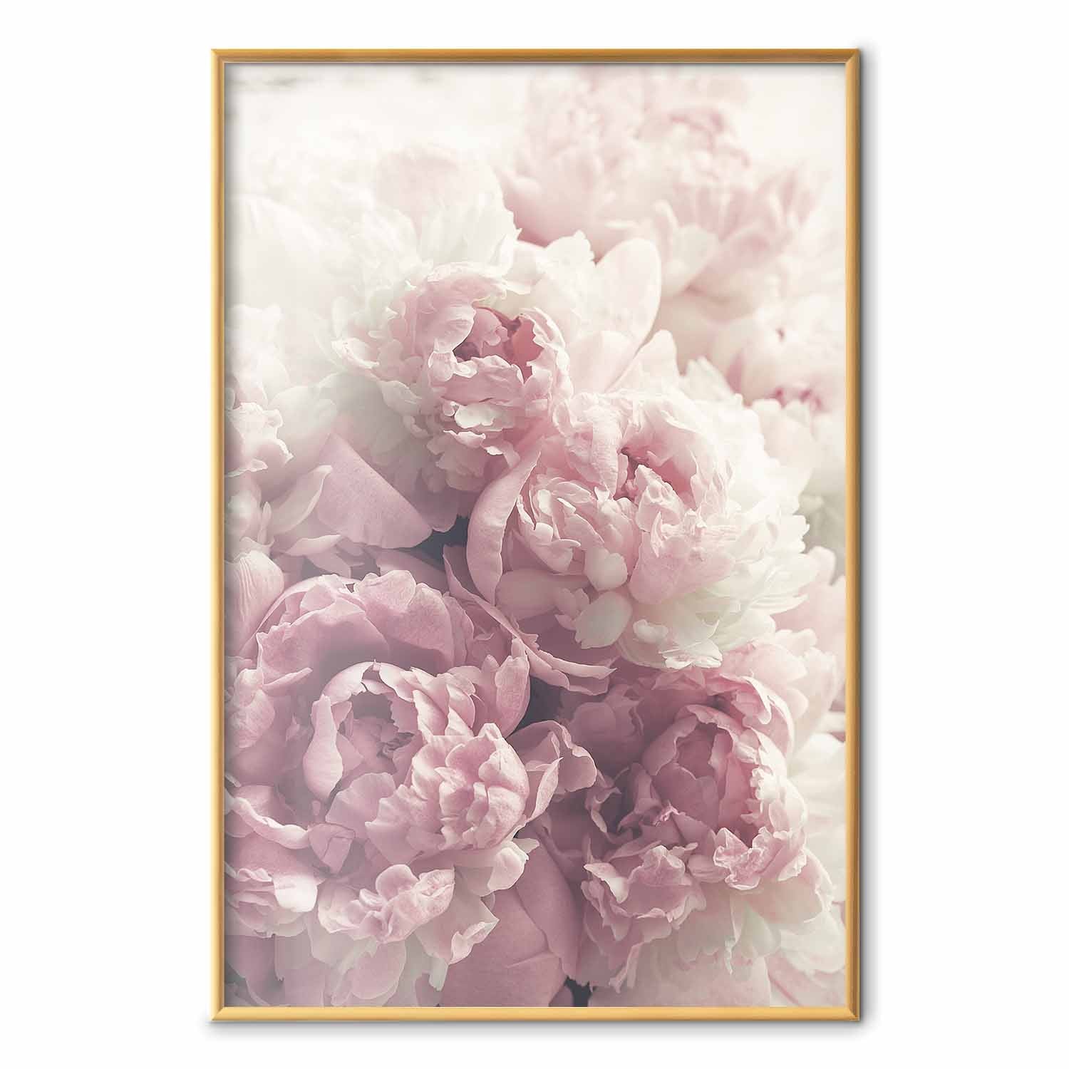 Delicate Peonies Floral Poster