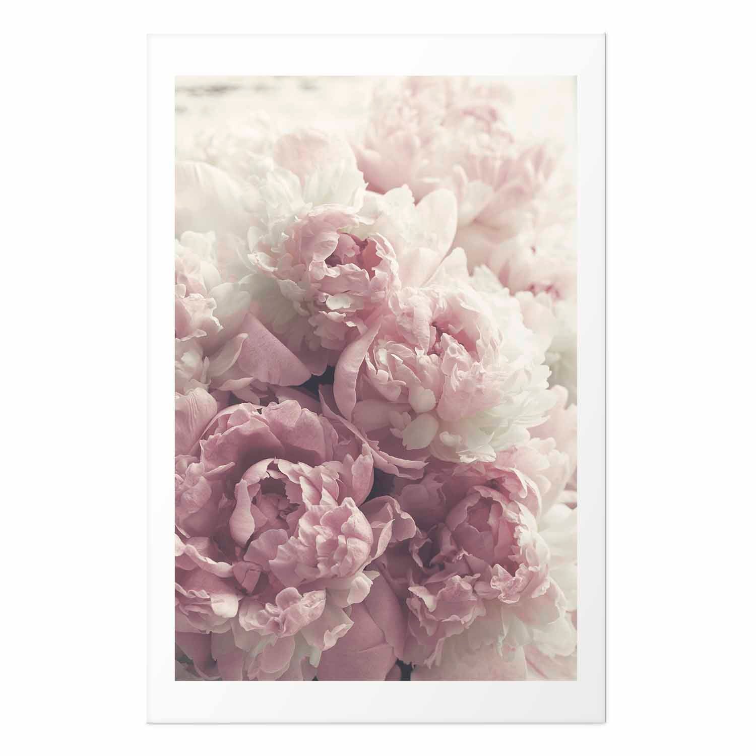 Delicate Peonies Floral Poster