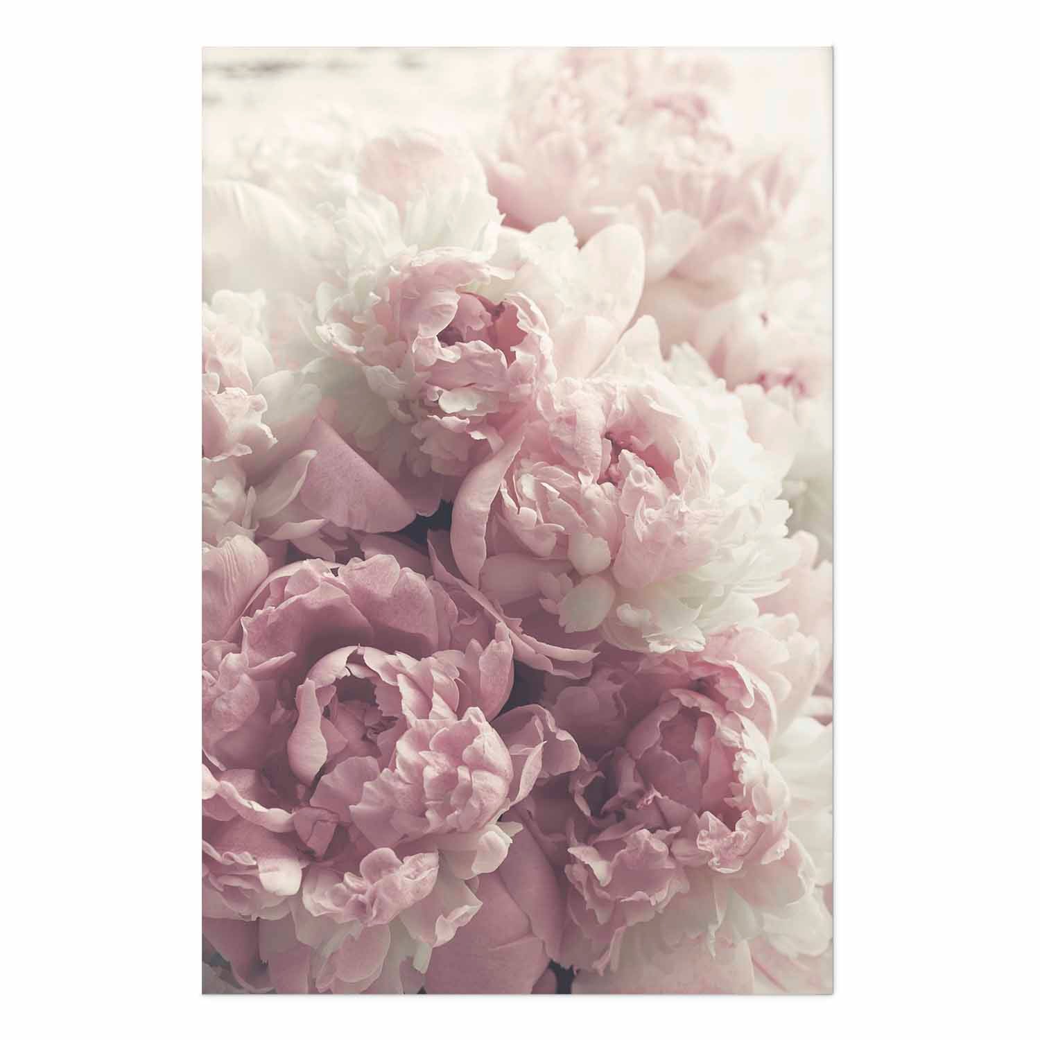Delicate Peonies Floral Poster