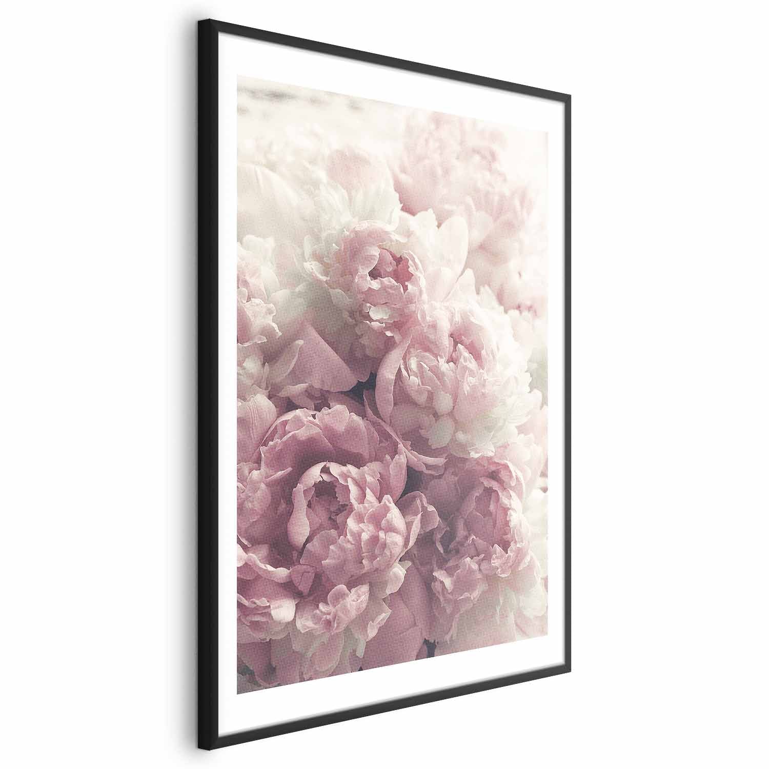 Delicate Peonies Floral Poster