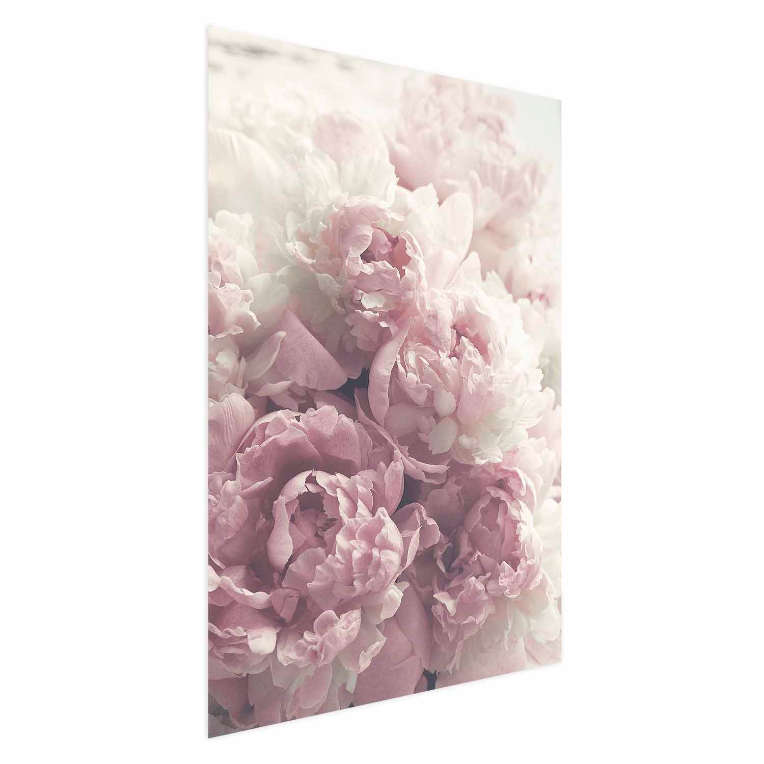 Delicate Peonies Floral Poster