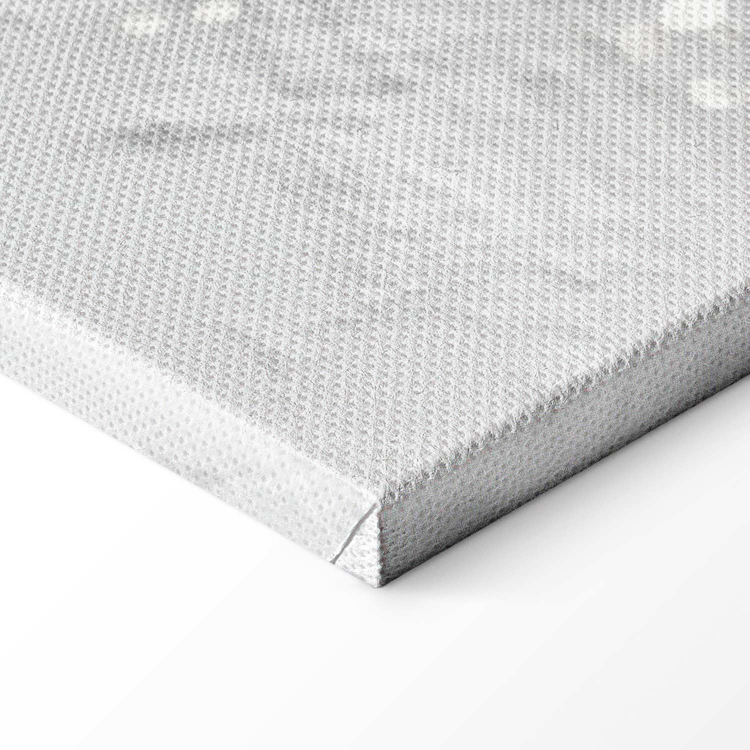 Abstract Magnolia Floral Canvas Print