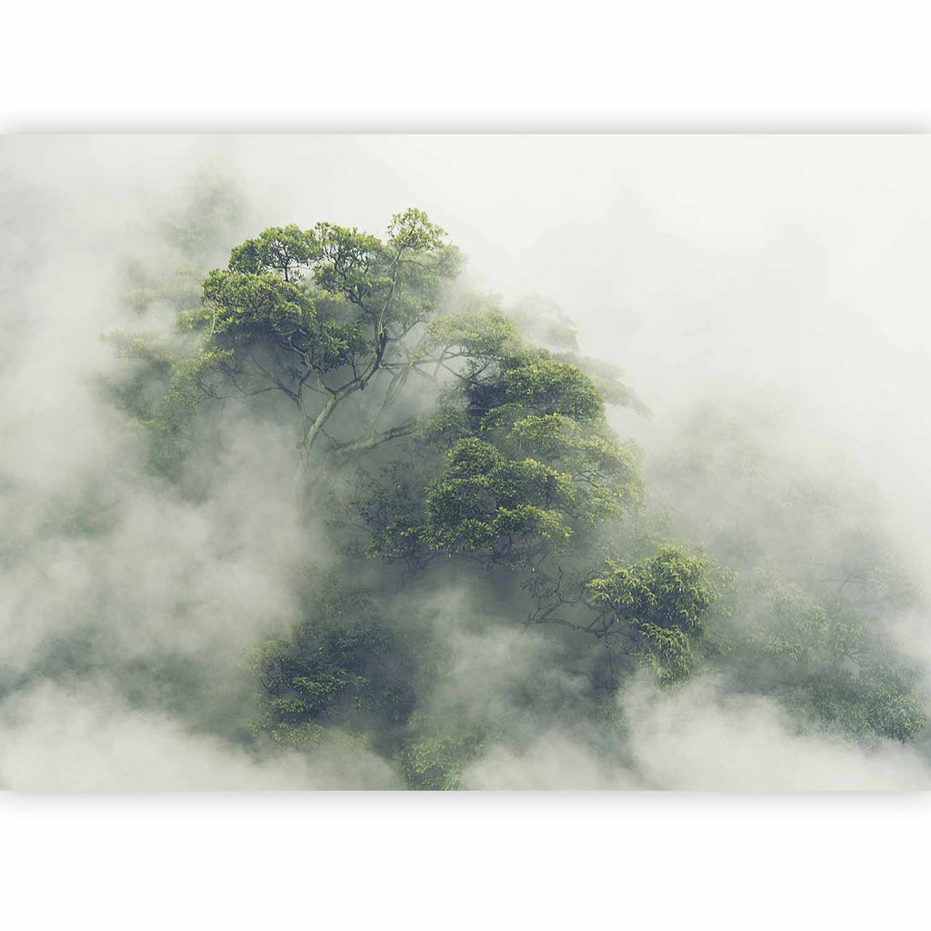 Foggy Amazon Forest Wall Mural