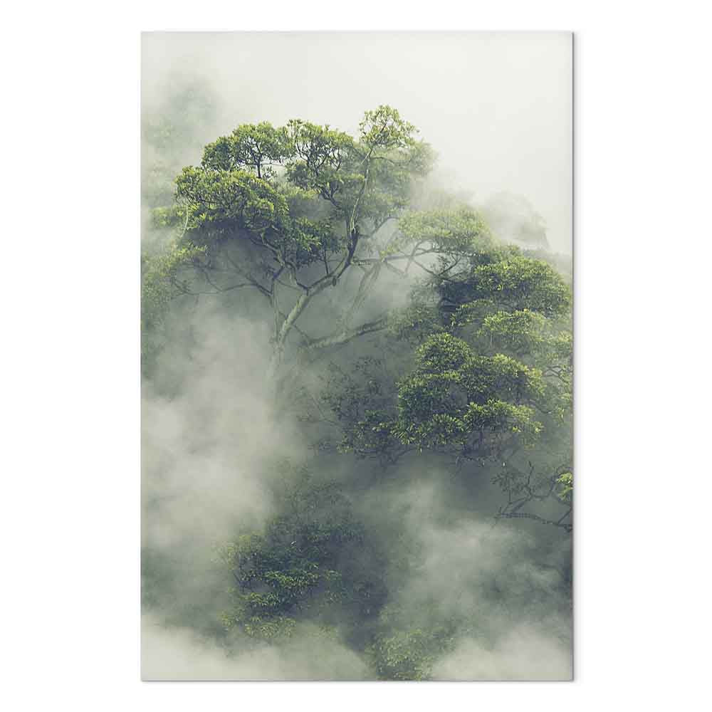 Foggy Amazon Forest Vertical Canvas Print