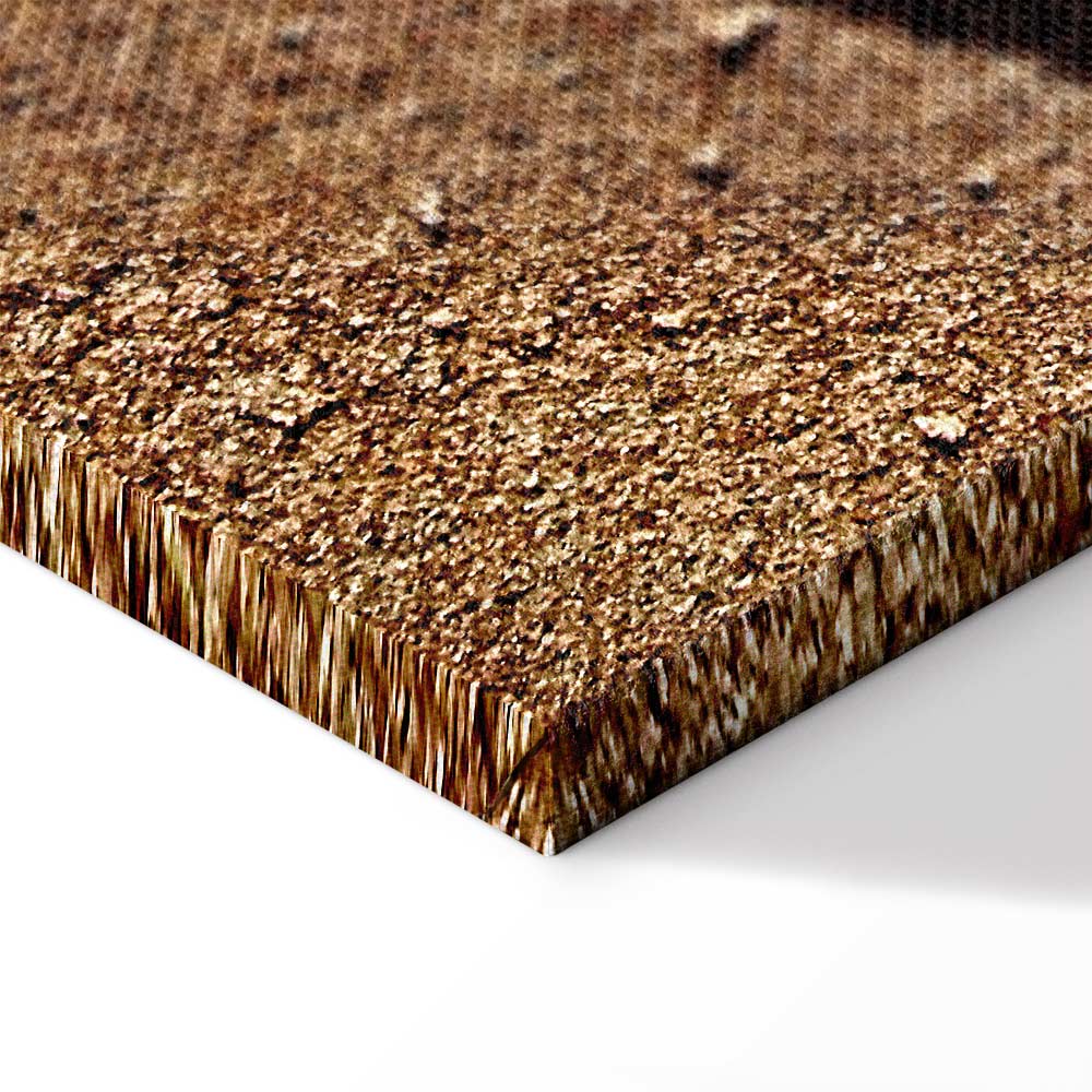 Feather on Sandy Shore Vertical Canvas Print