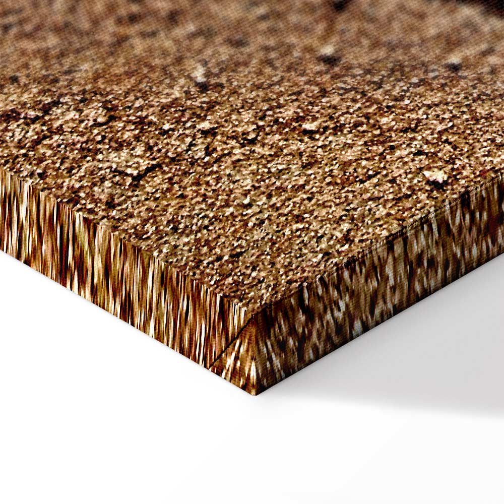 Feather on Sandy Shore Vertical Canvas Print