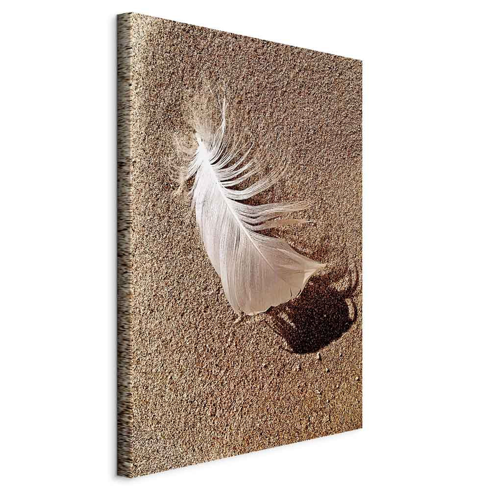 Feather on Sandy Shore Vertical Canvas Print