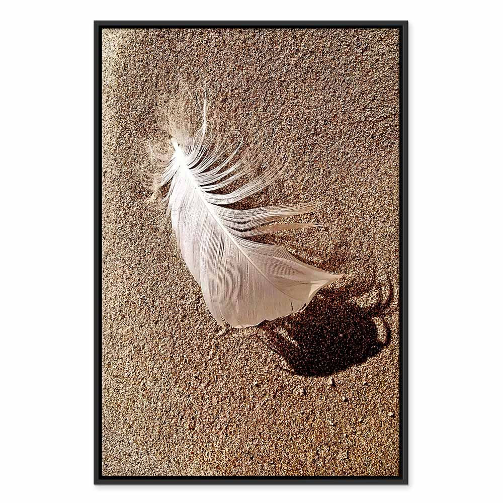 Feather on Sandy Shore Vertical Canvas Print