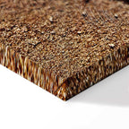 Feather on Sandy Shore Vertical Canvas Print