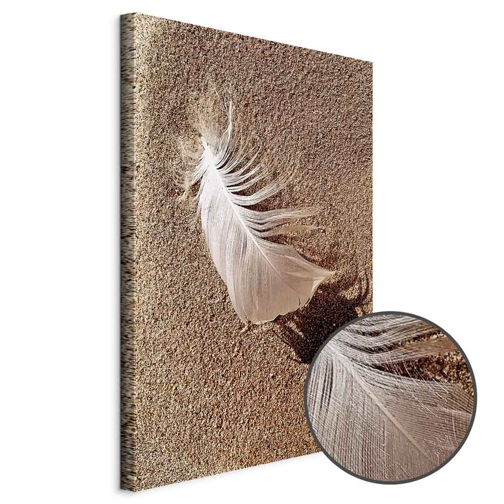 Feather on Sandy Shore Vertical Canvas Print