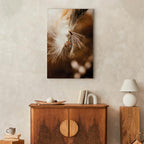 Dandelion Floral Nature Canvas Print