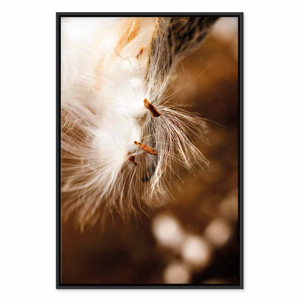 Dandelion Floral Nature Canvas Print