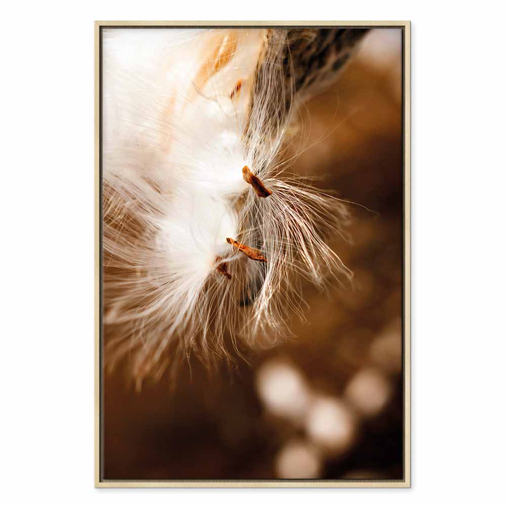 Dandelion Floral Nature Canvas Print