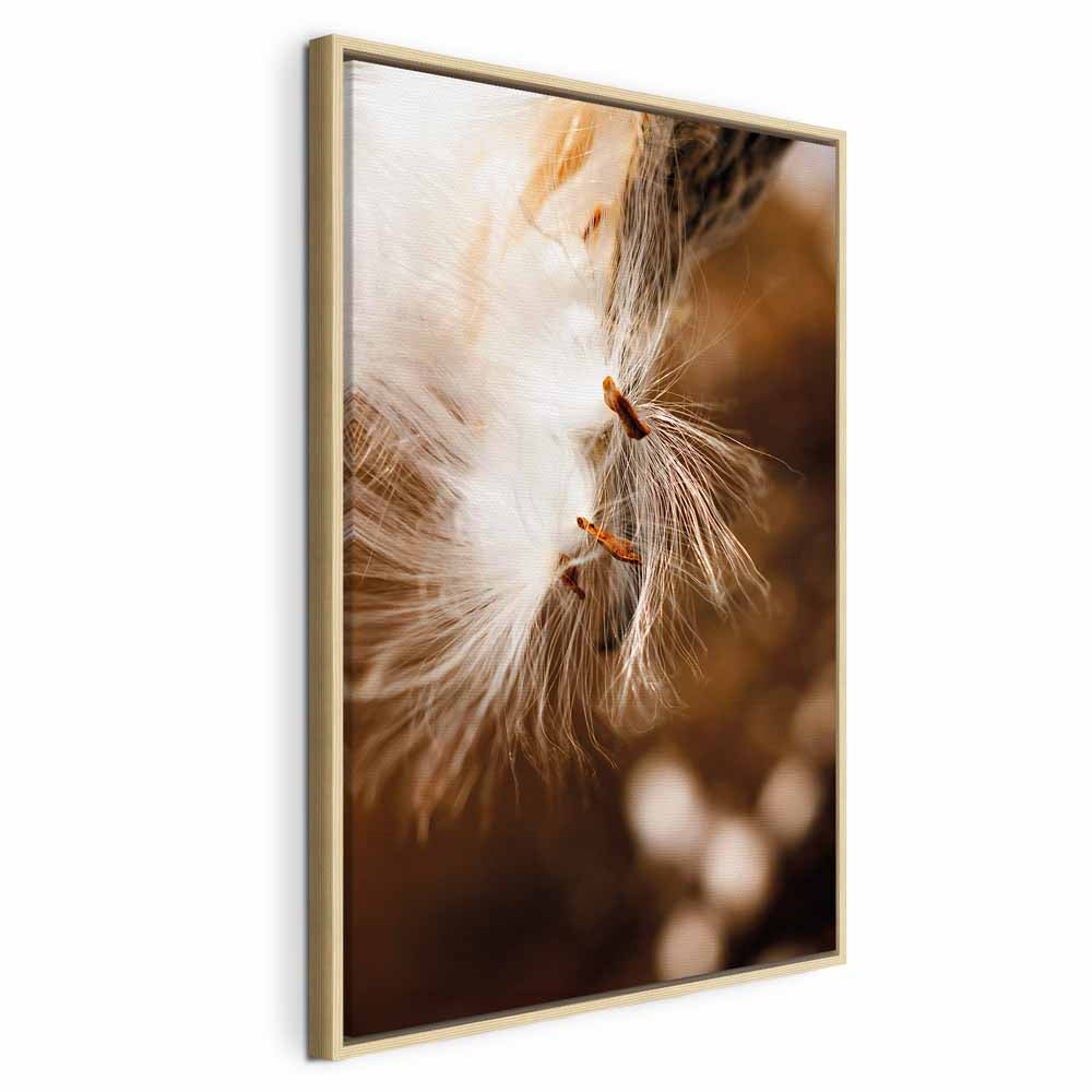 Dandelion Floral Nature Canvas Print