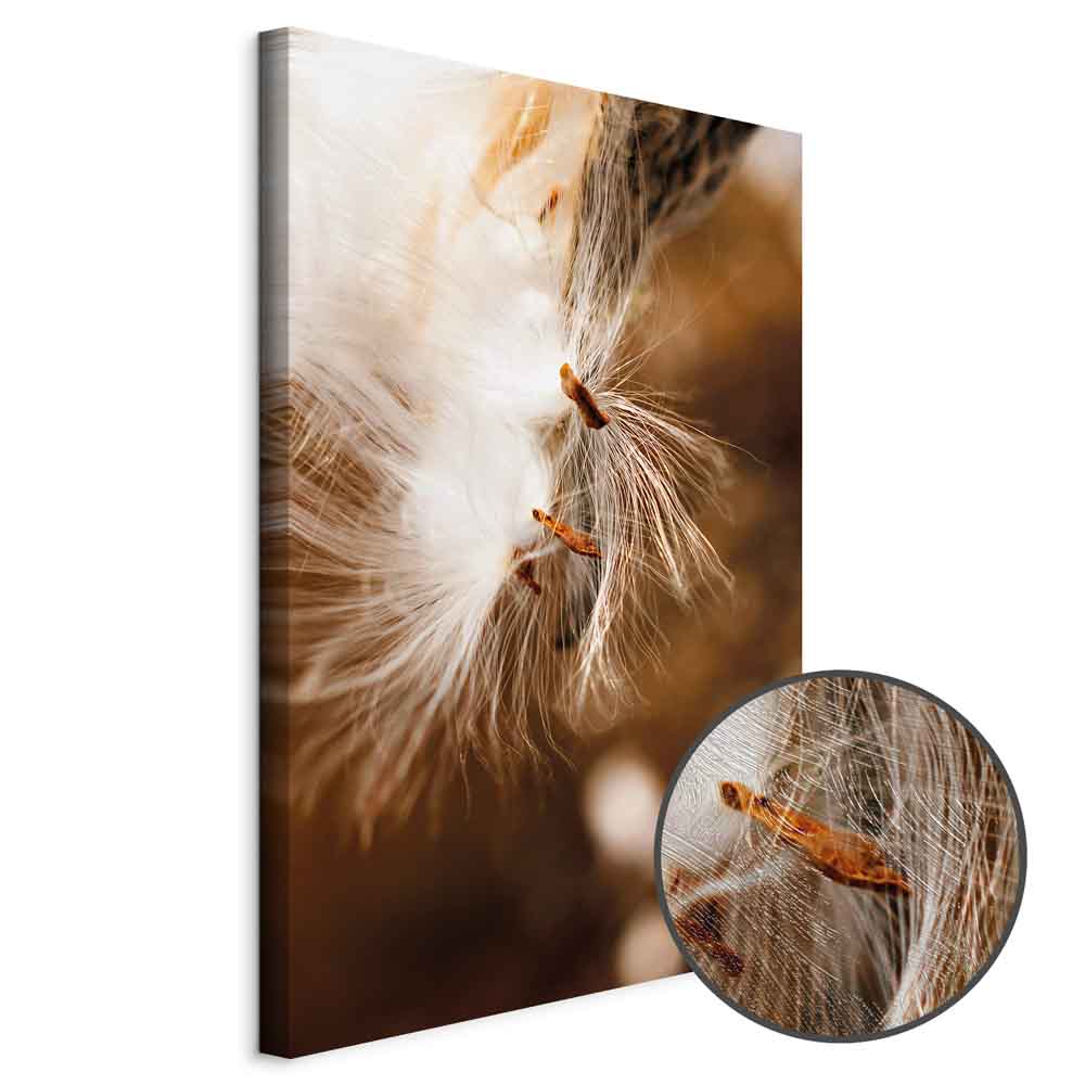 Dandelion Floral Nature Canvas Print