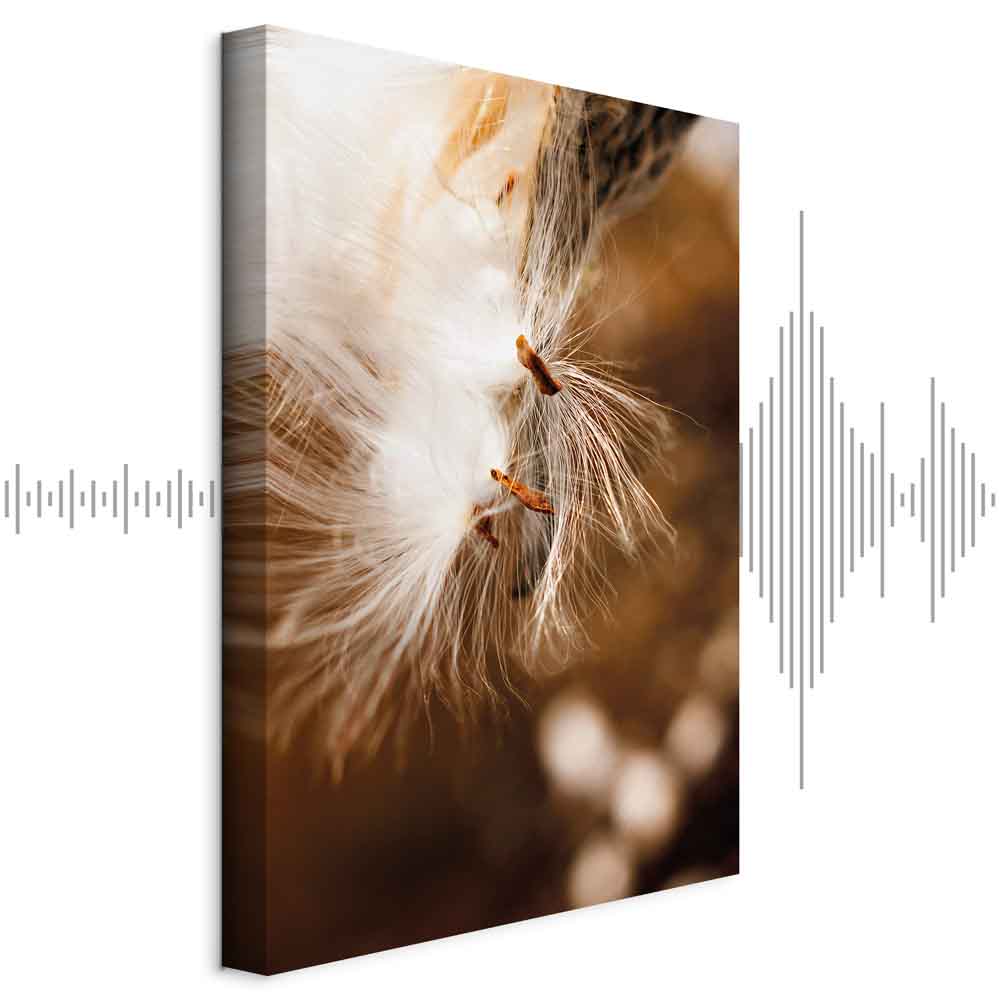 Dandelion Floral Nature Canvas Print