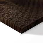 Humming Seashell Coastal Canvas Print