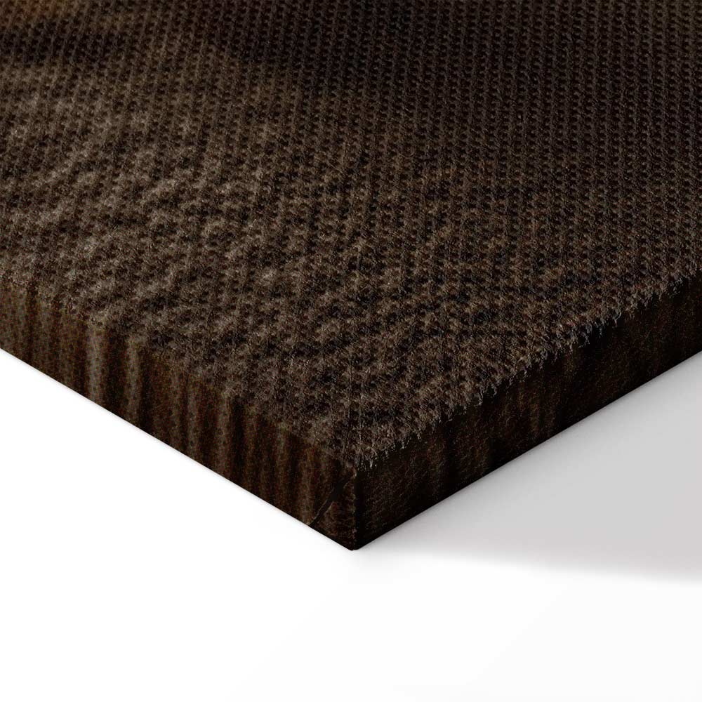 Humming Seashell Coastal Canvas Print