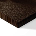 Humming Seashell Coastal Canvas Print