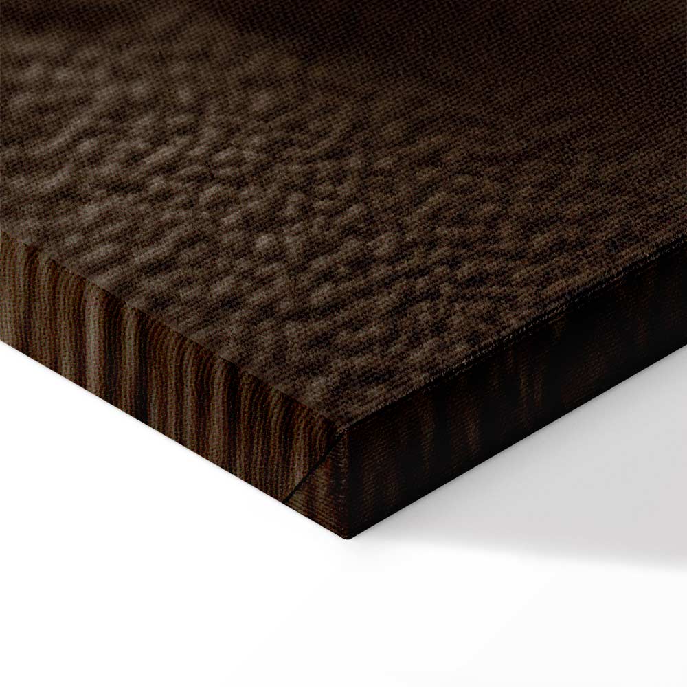 Humming Seashell Coastal Canvas Print