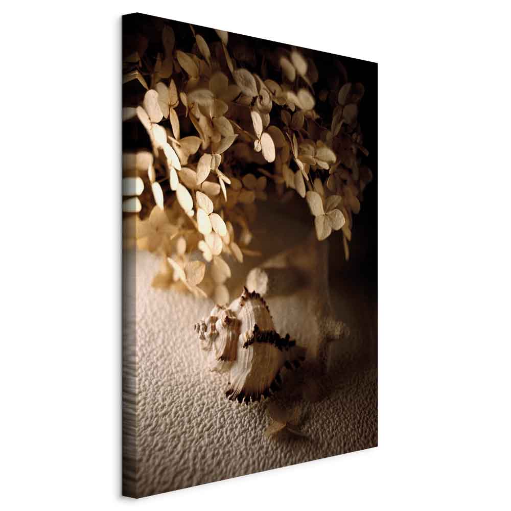 Humming Seashell Coastal Canvas Print