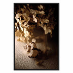 Humming Seashell Coastal Canvas Print