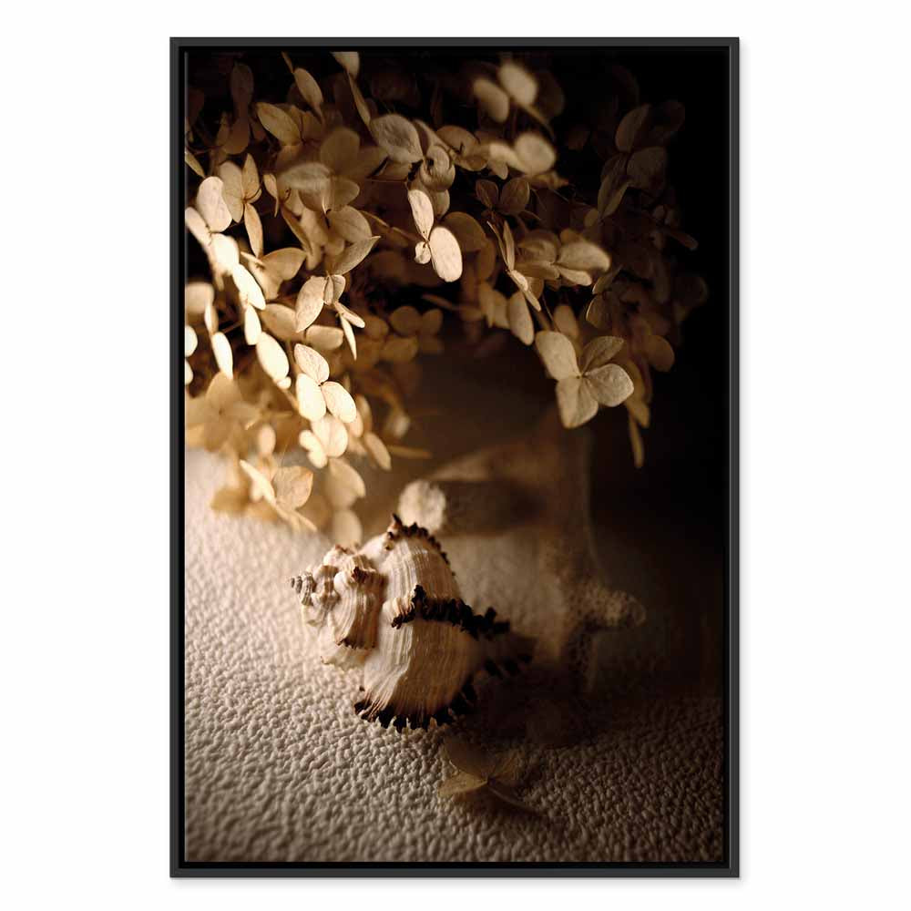 Humming Seashell Coastal Canvas Print