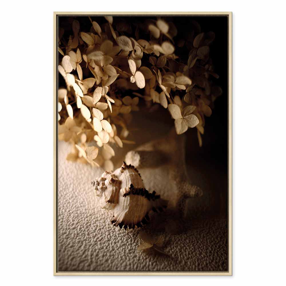 Humming Seashell Coastal Canvas Print