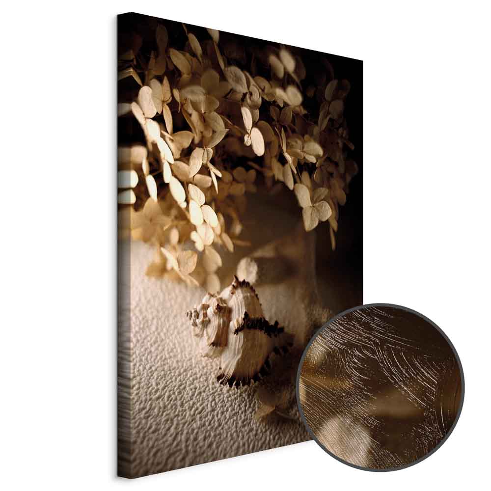Humming Seashell Coastal Canvas Print