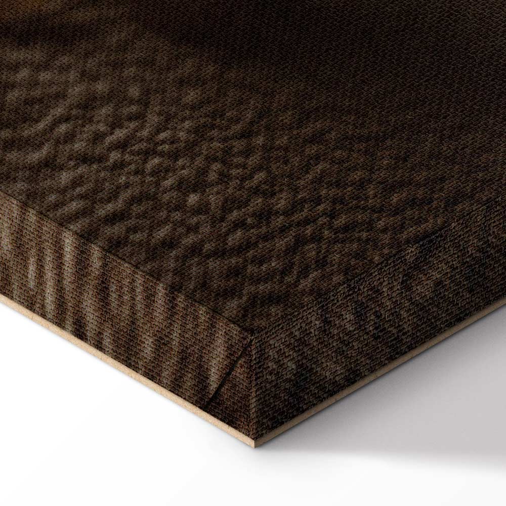 Humming Seashell Coastal Canvas Print