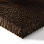 Humming Seashell Coastal Canvas Print