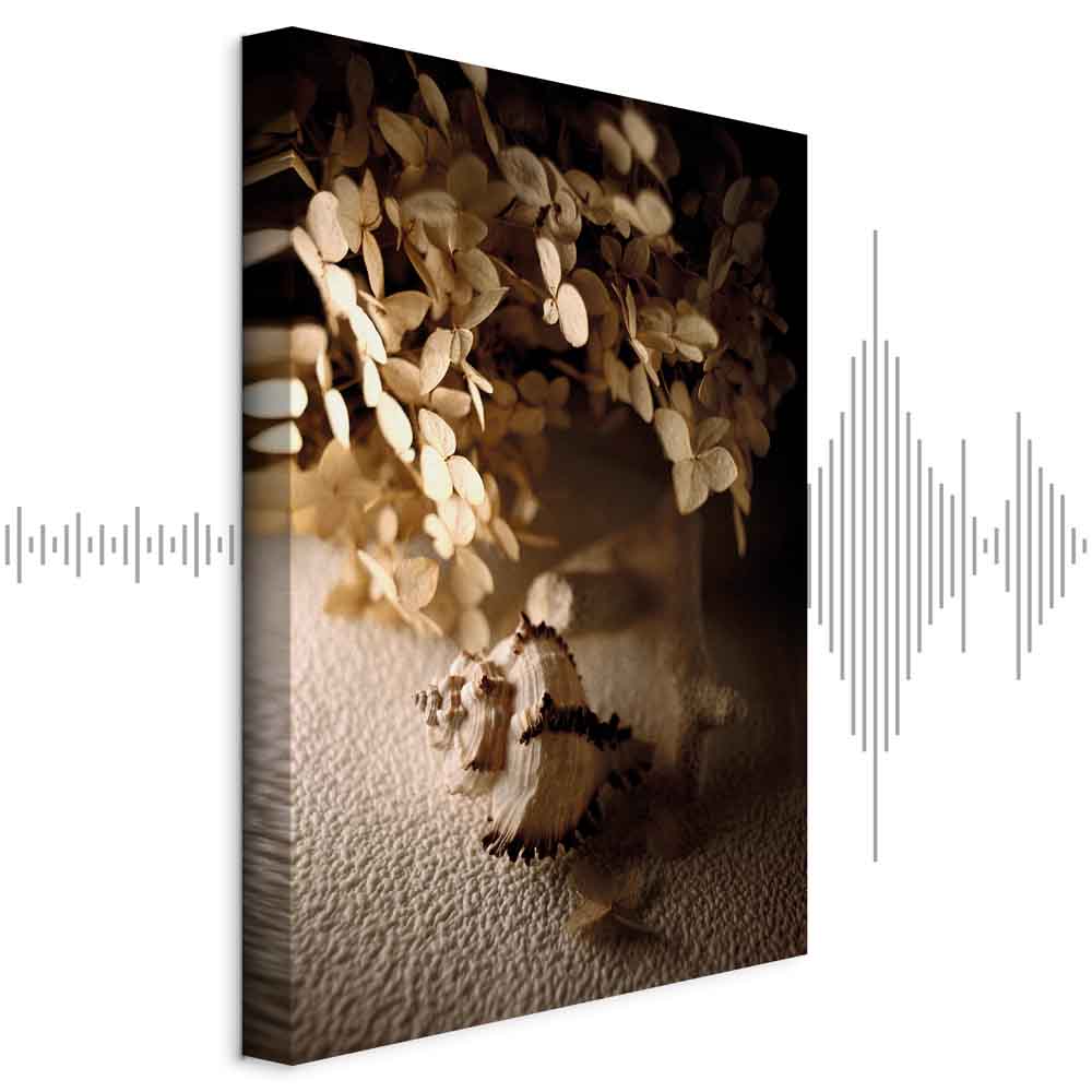 Humming Seashell Coastal Canvas Print