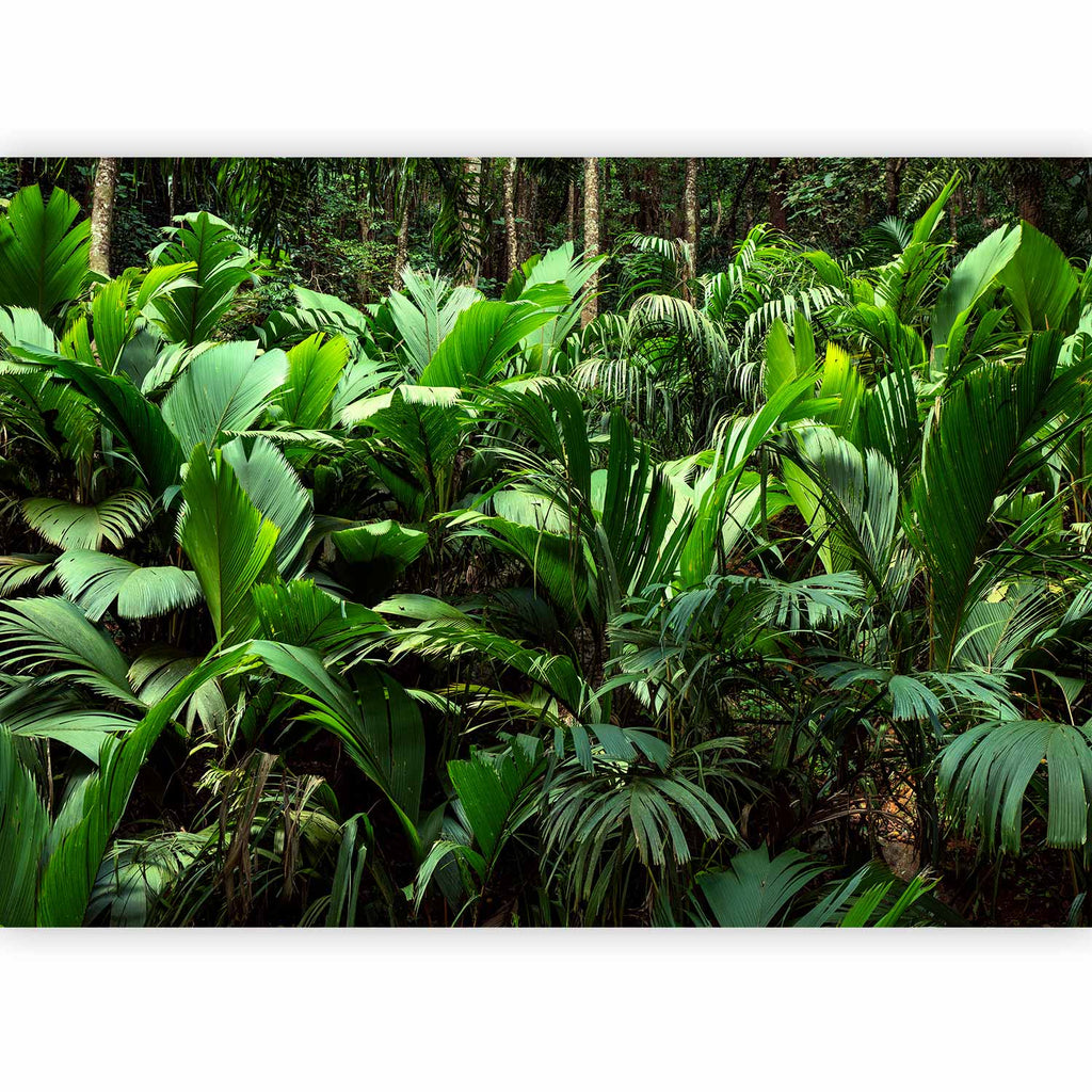 Tropical Jungle Leaves Photo Wall Mural
