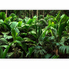 Tropical Jungle Leaves Photo Wall Mural