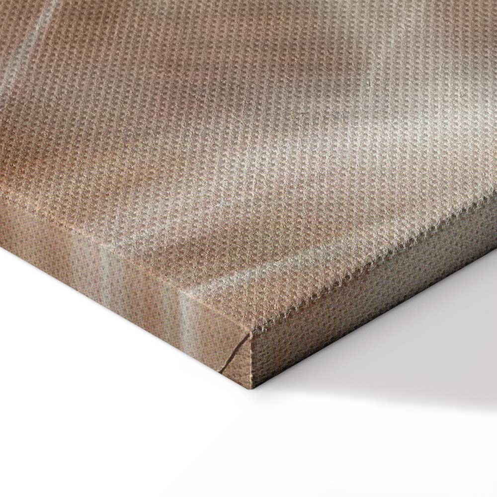 Dandelion Flower Nature Canvas Print