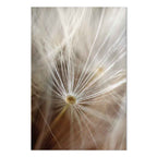 Dandelion Flower Nature Canvas Print
