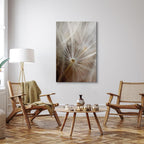 Dandelion Flower Nature Canvas Print