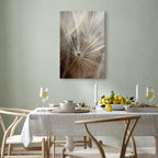 Dandelion Flower Nature Canvas Print