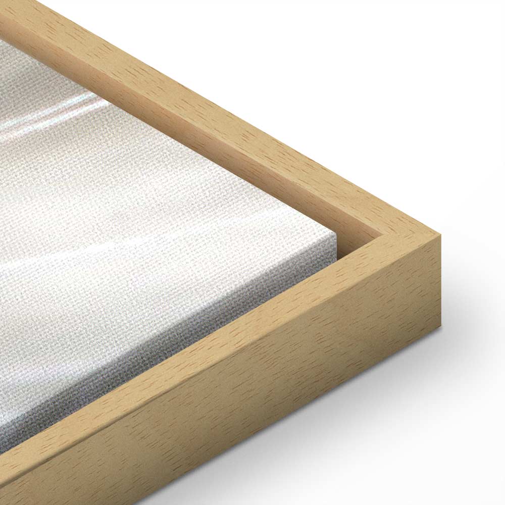 Dandelion Flower Nature Canvas Print