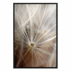 Dandelion Flower Nature Canvas Print