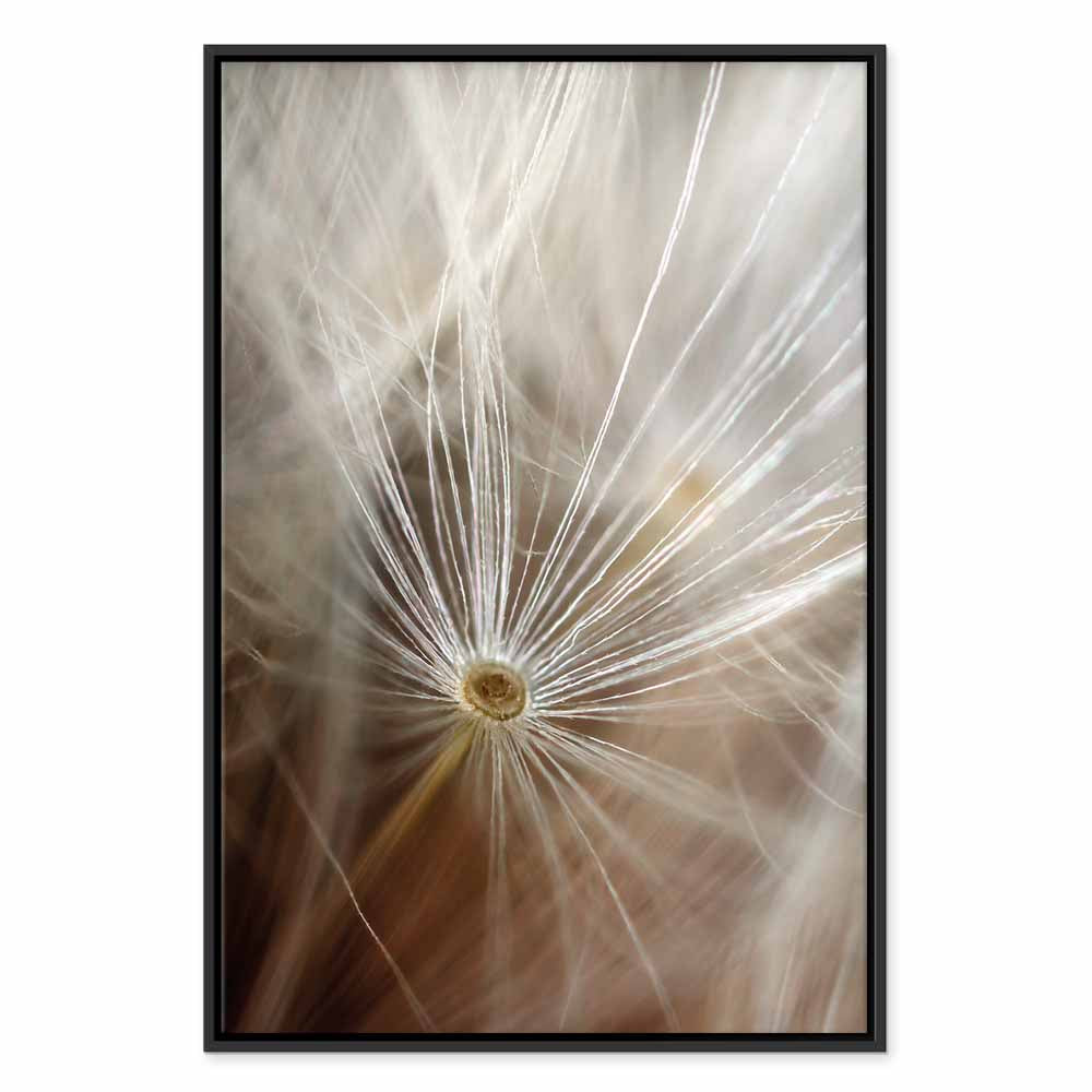 Dandelion Flower Nature Canvas Print