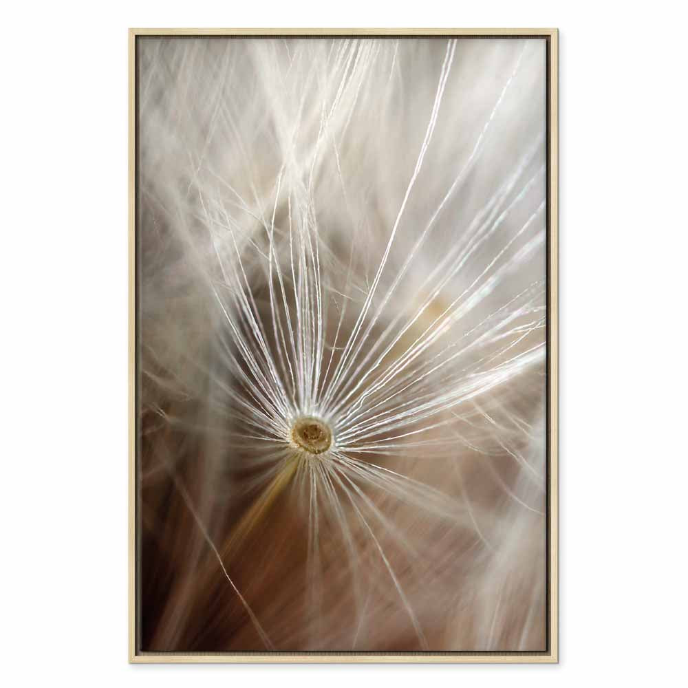 Dandelion Flower Nature Canvas Print