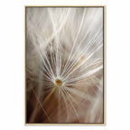 Dandelion Flower Nature Canvas Print